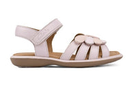 PROMISE CLARKS